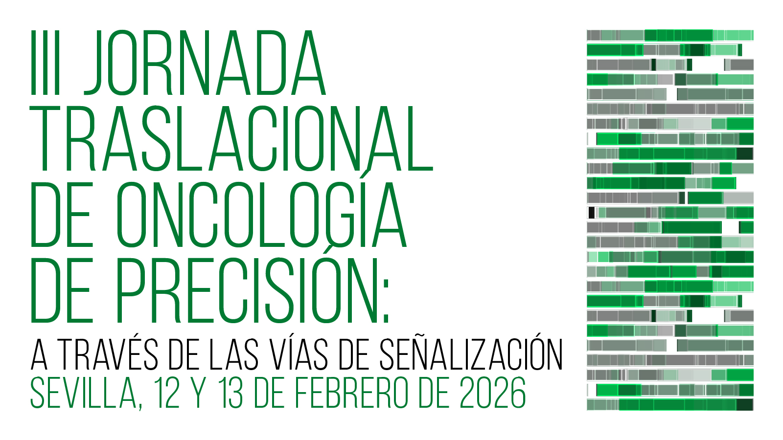 III Jornada Traslacional de Oncología de Precisión